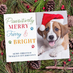 Fantastiskt merry Hårig & Bright Anpassningsbar Pe Vykort<br><div class="desc">Vi presenterar helgdagskorten för perfekt för djurälskare - "Pawsitive Merry, Hårig & Bright"! Dessa kort är perfekt för alla som vill fira festsäsongen med sina familjemedlemmar i håriget. Korten har en söt och modern utformning, komplett med tass avtryck och kom i en rad färg, inklusive grönt, rosa, blått, guld och...</div>