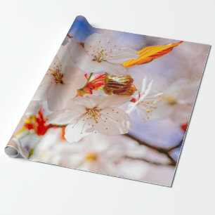 Fantastiskt och Elegant Sakurablommor Presentpapper