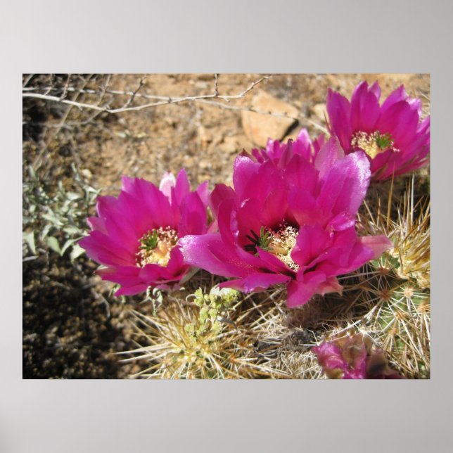 Fantastiskt Poster (3) (Framsidan)