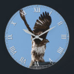 Fantastiskt rödtegelshöksfåglar om Be Stor Klocka<br><div class="desc">Den här klockan innehåller ett foto av vildlevande fantastisk av en rödskräddarsydd hök som går på toppen av ett tak med vinge som lyfts högt ovanför huvudet och förbereder sig för att lyfta. Underbar för en fågel- eller våldtäktsentusiast.</div>