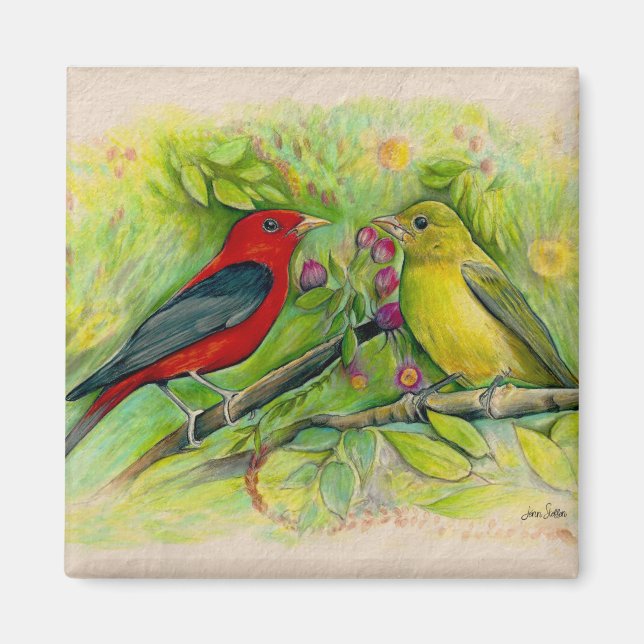 Fantastiskt Scarlet Tanagers - vattenfärgsmålning Magnet (Framsidan)
