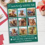 Fantastiskt underbart årstidsfoto för Cute Collage Julkort<br><div class="desc">Vi presenterar vår senaste insamling av helgdagskort, perfekt för djur älskare och ägare av sällskapsdjur! Våra "fantastiskt bra år"-kort visar hårigets familjemedlemmar på ett sött, modernt och roligt sätt. De här korten är snyggt och festande och innehåller en fotosamling av dina husdjur under hela året. Våra kort är designade för...</div>