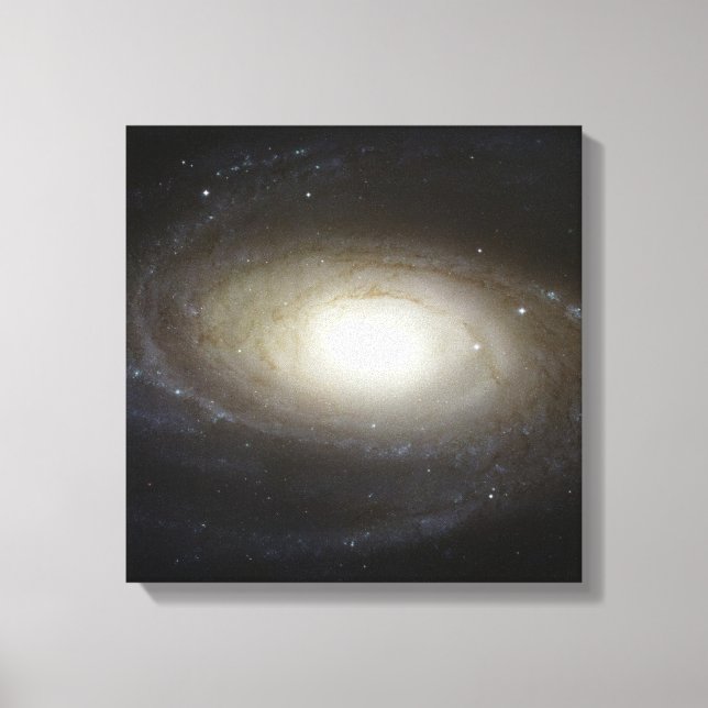 Fantasy and Space Canvastryck (Framsida)