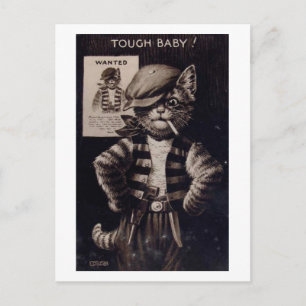 Fantasy Cat, Tough Baby Vintage Vykort