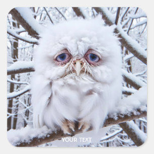 Fantasy Cute Ledsen Uggla Winter Fyrkantigt Klistermärke