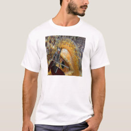 Fantasy Dragon Folk Tale Tee Shirt