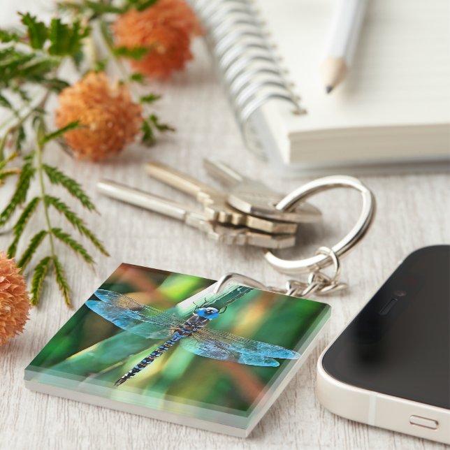 Fantasy Dragonfly in Turquise and Black (Högra Framsidan)