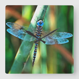 Fantasy Dragonfly in Turquise and Black Fyrkantig Klocka