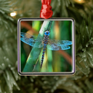 Fantasy Dragonfly in Turquise and Black Julgransprydnad Metall