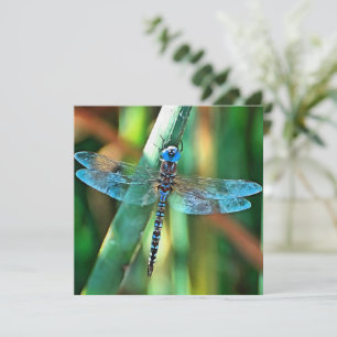 Fantasy Dragonfly in Turquise and Black Julkort