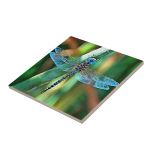 Fantasy Dragonfly in Turquise and Black Kakelplatta