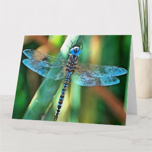 Fantasy Dragonfly in Turquise and Black Tack Kort