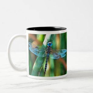 Fantasy Dragonfly in Turquise and Black Två-Tonad Mugg