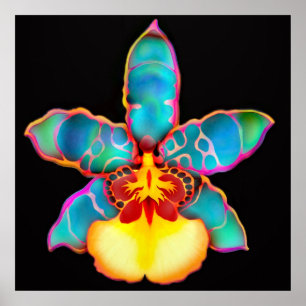 Fantasy Färgad Orchid Flower Poster