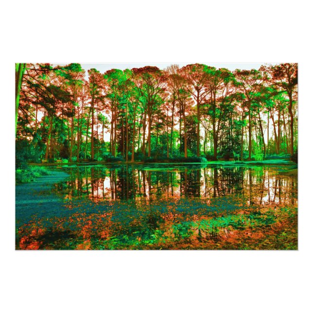 Fantasy Forest av Shirley Taylor Fototryck (Framsidan)