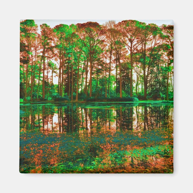 Fantasy Forest av Shirley Taylor Magnet (Framsidan)