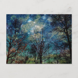 Fantasy Forest Celestial Skogen Night Stars Vykort
