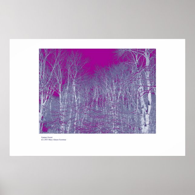 Fantasy Forest Poster (Framsidan)