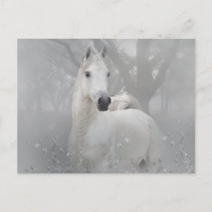 Fantasy Horse Vykort