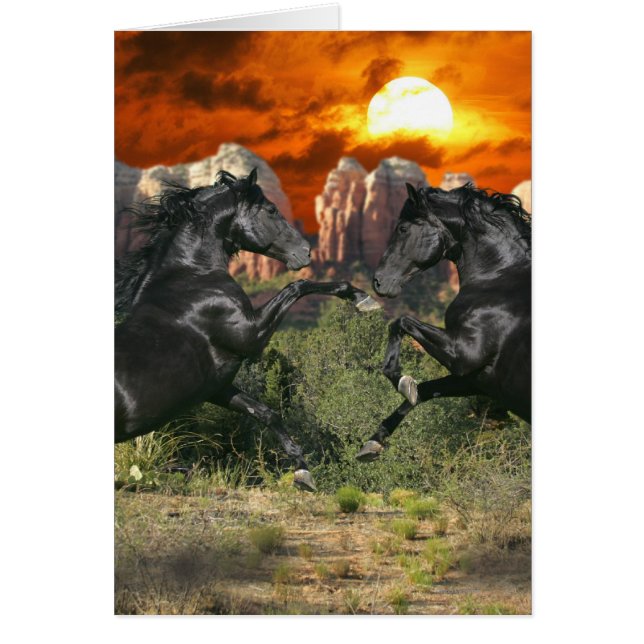 Fantasy Horses: Black Magic Hälsningskort (Framsidan)