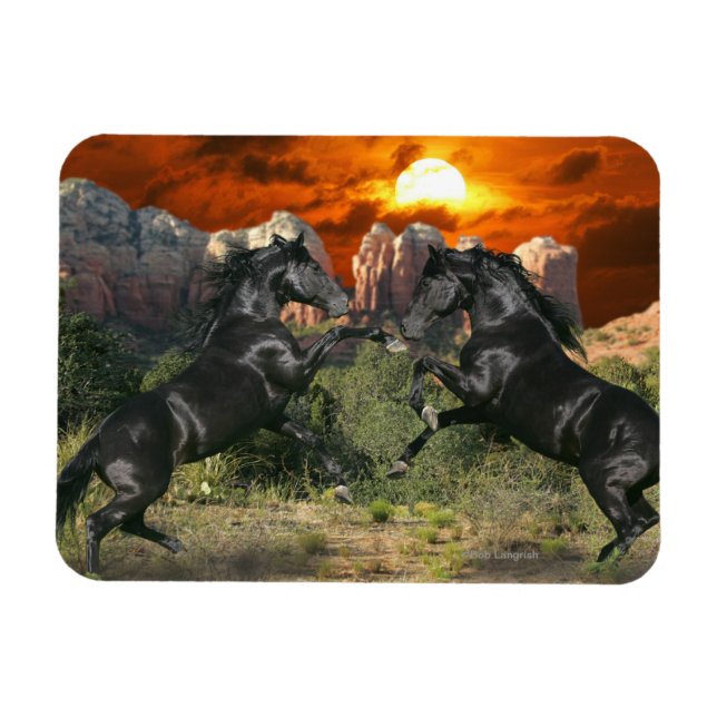 Fantasy Horses: Black Magic Magnet (Horisontell)