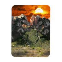 Fantasy Horses: Black Magic