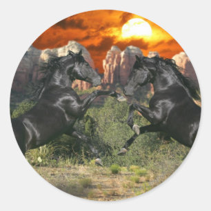 Fantasy Horses: Black Magic Runt Klistermärke