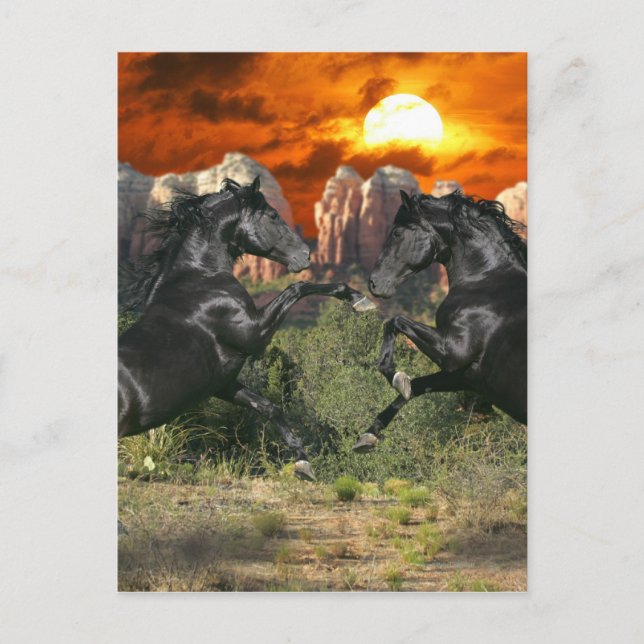 Fantasy Horses: Black Magic Vykort (Framsida)