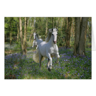 Fantasy Horses: Bluebell Wood Hälsningskort