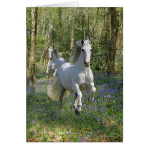 Fantasy Horses: Bluebell Wood Hälsningskort