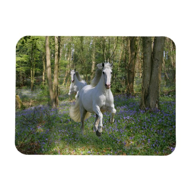 Fantasy Horses: Bluebell Wood Magnet (Horisontell)