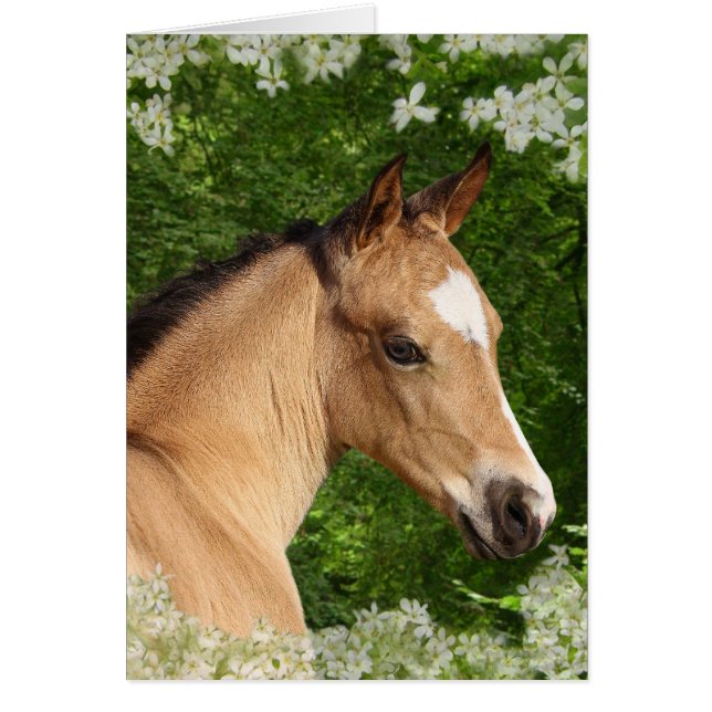 Fantasy Horses: Flowers Hälsningskort (Framsidan)