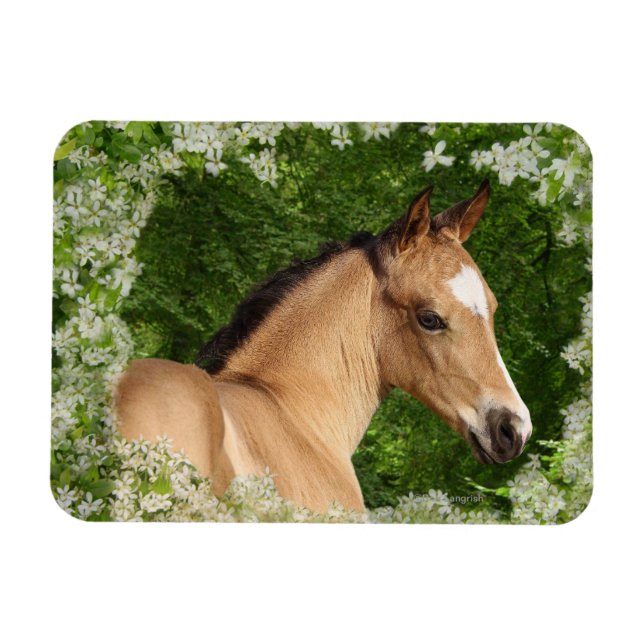 Fantasy Horses: Flowers Magnet (Horisontell)