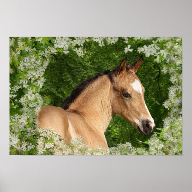 Fantasy Horses: Flowers Poster (Framsidan)