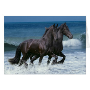 Fantasy Horses: Friesians & Sea Hälsningskort