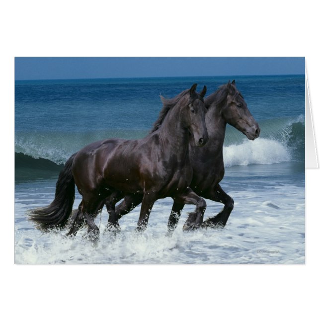 Fantasy Horses: Friesians & Sea Hälsningskort (Framsidan Horizontal)