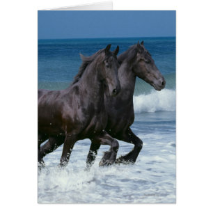 Fantasy Horses: Friesians & Sea Hälsningskort
