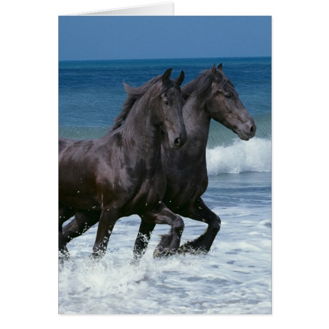 Fantasy Horses: Friesians & Sea Hälsningskort (Framsidan)