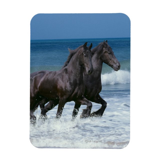 Fantasy Horses: Friesians & Sea Magnet (Vertikal)