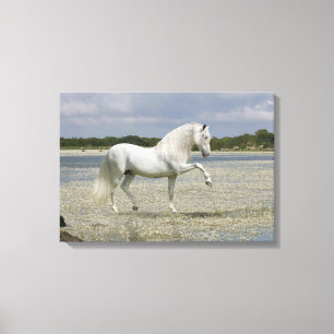 Fantasy Horses: Herre Sjö Canvastryck