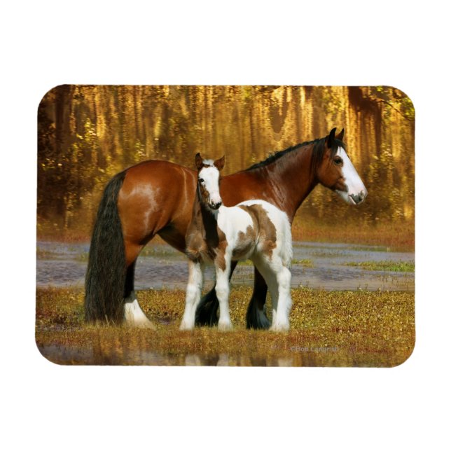 Fantasy Horses: Mare & Foal Magnet (Horisontell)