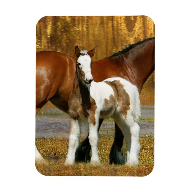 Fantasy Horses: Mare & Foal Magnet (Vertikal)
