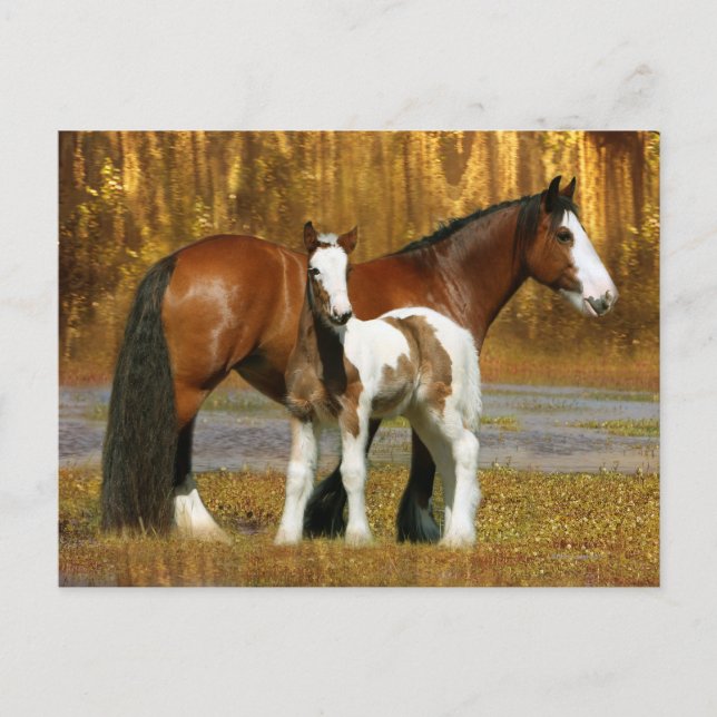 Fantasy Horses: Mare & Foal Vykort (Framsida)