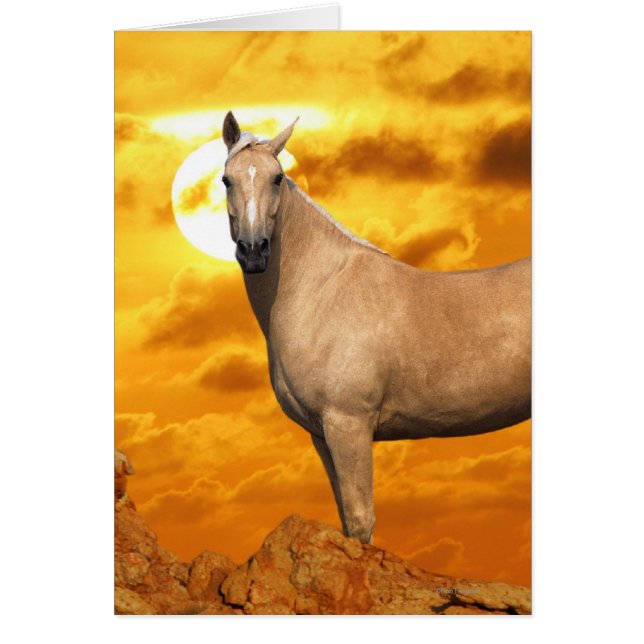 Fantasy Horses: Mountain Hälsningskort (Framsidan)