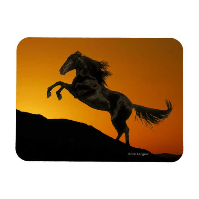 Fantasy Horses: Mountain Sunset Magnet (Horisontell)