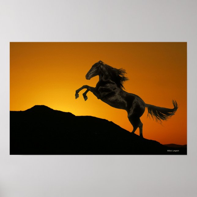 Fantasy Horses: Mountain Sunset Poster (Framsidan)