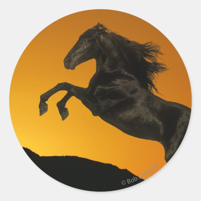 Fantasy Horses: Mountain Sunset Runt Klistermärke (Framsida)