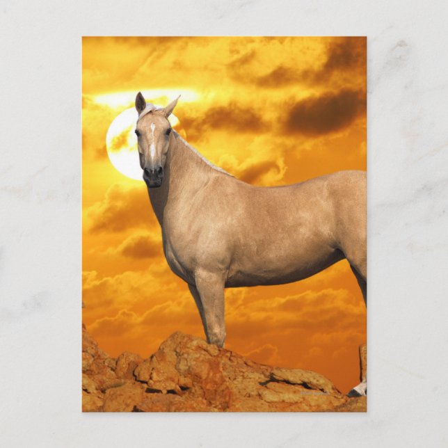 Fantasy Horses: Mountain Vykort (Framsida)