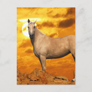 Fantasy Horses: Mountain Vykort