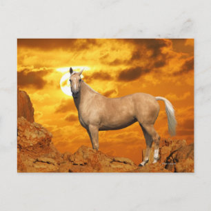 Fantasy Horses: Mountain Vykort